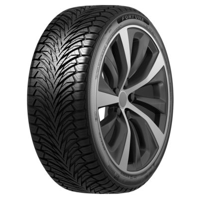 Шина Fortune Fitclime FSR-401 215/65 R17 99V